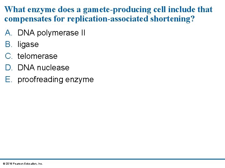 What enzyme does a gamete-producing cell include that compensates for replication-associated shortening? A. B.