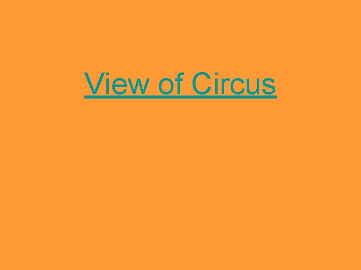 View of Circus 