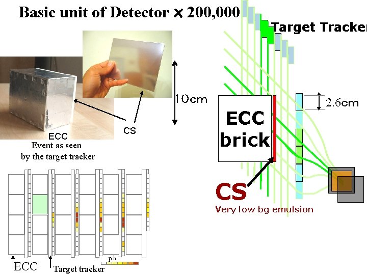 Basic unit of Detector x 200, 000 Target Tracker １０ｃｍ CS ECC Event as