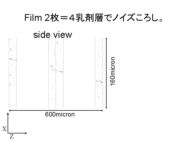 Film 2枚＝４乳剤層でノイズころし。 160 micron side view 600 micron X Z 