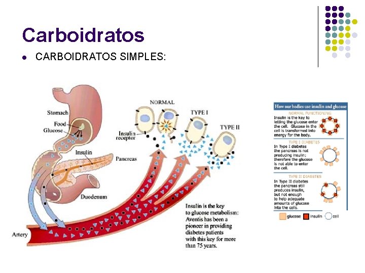 Carboidratos l CARBOIDRATOS SIMPLES: 