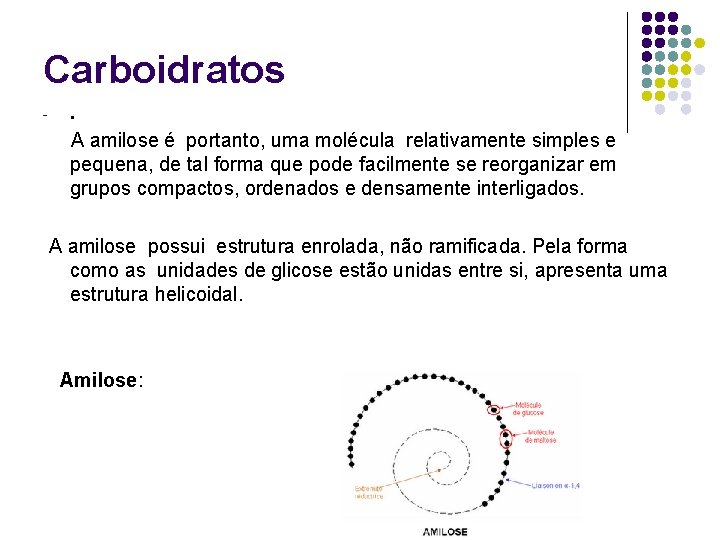 Carboidratos - . A amilose é portanto, uma molécula relativamente simples e pequena, de