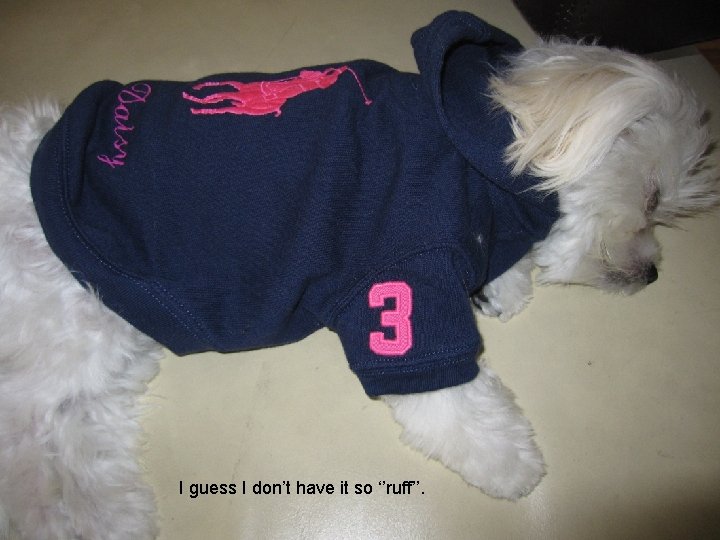 I guess I don't have it so "ruff!" I guess I don’t have it