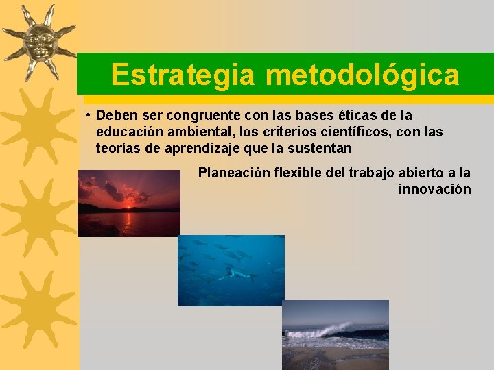 Estrategia metodológica • Deben ser congruente con las bases éticas de la educación ambiental,