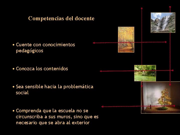Competencias del docente • Cuente conocimientos pedagógicos • Conozca los contenidos • Sea sensible