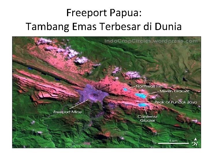 Freeport Papua: Tambang Emas Terbesar di Dunia 