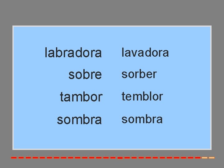 labradora sobre lavadora sorber tambor temblor sombra 