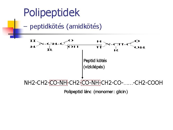 Polipeptidek – peptidkötés (amidkötés) Peptid kötés (vízkilépés) NH 2 -CO-NH-CH 2 -CO-……-CH 2 -COOH