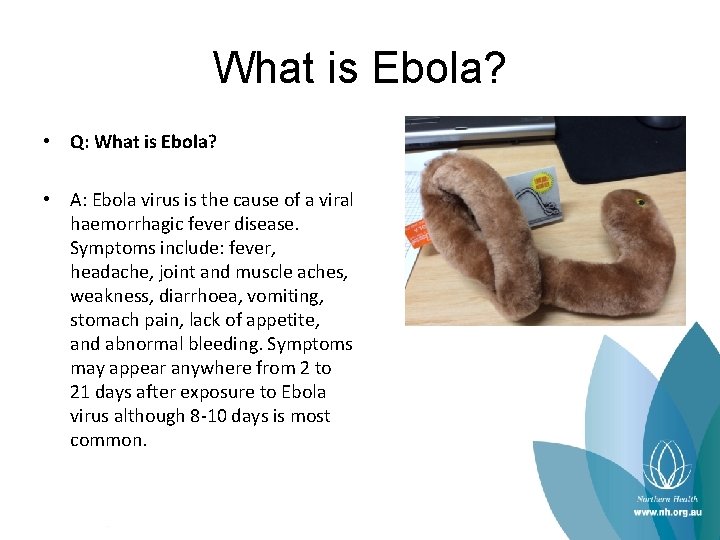 What is Ebola? • Q: What is Ebola? • A: Ebola virus is the