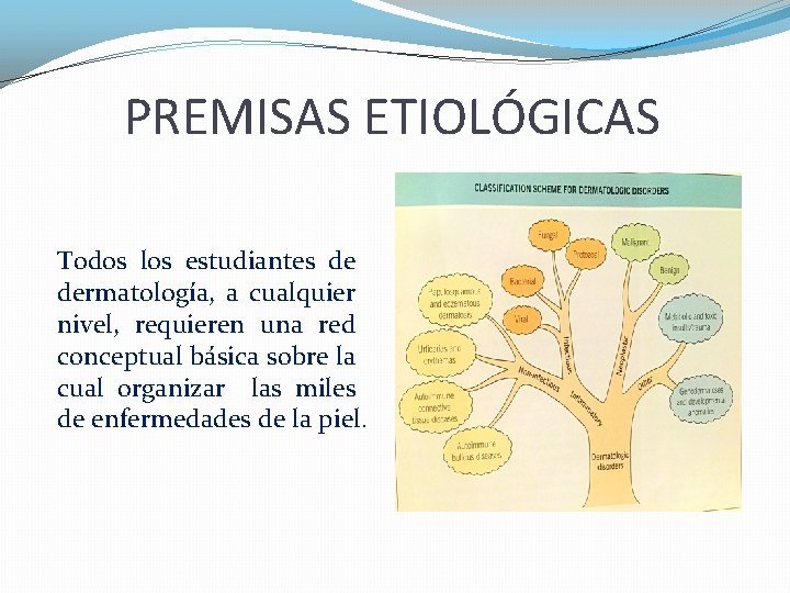 PREMISAS ETIOLÓGICAS Todos los estudiantes de dermatología, a cualquier nivel, requieren una red conceptual