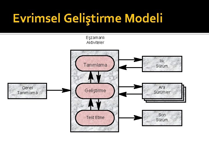 Evrimsel Geliştirme Modeli Eşzamanlı Aktiviteler Genel Tanımlama İlk Sürüm Geliştirme Ara Sürümler Test Etme