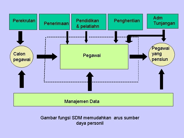 Perekrutan Calon pegawai Penerimaan Pendidikan & pelatiahn Penghentian Pegawai Manajemen Data Gambar fungsi SDM