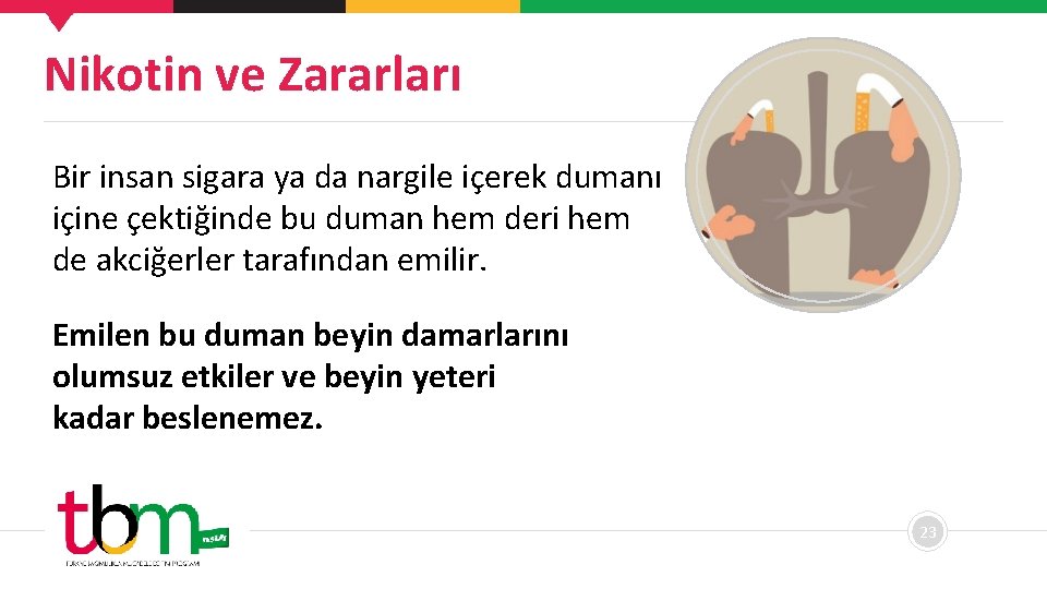 Nikotin ve Zararları Bir insan sigara ya da nargile içerek dumanı içine çektiğinde bu