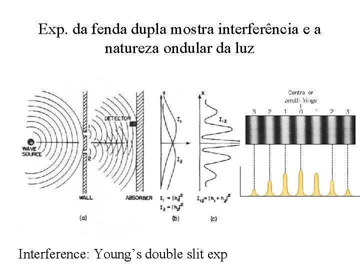 Exp. da fenda dupla mostra interferência e a natureza ondular da luz Interference: Young’s