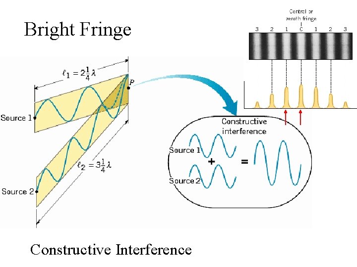 Bright Fringe Constructive Interference 