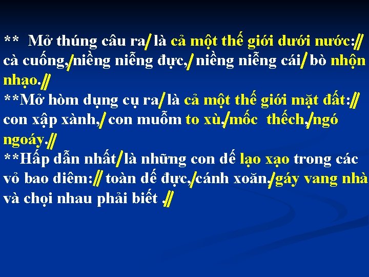 ** Mở thúng câu ra là cả một thế giới dưới nước: cà cuống,