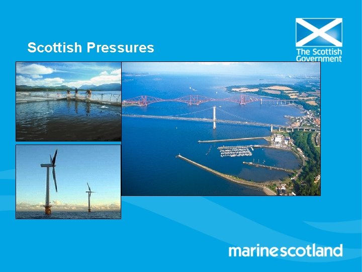 Scottish Pressures 