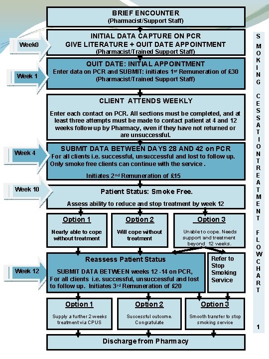 BRIEF ENCOUNTER (Pharmacist/Support Staff) Week 0 INITIAL DATA CAPTURE ON PCR GIVE LITERATURE +