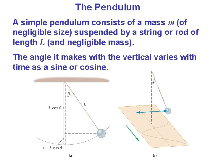The Pendulum A simple pendulum consists of a mass m (of negligible size) suspended
