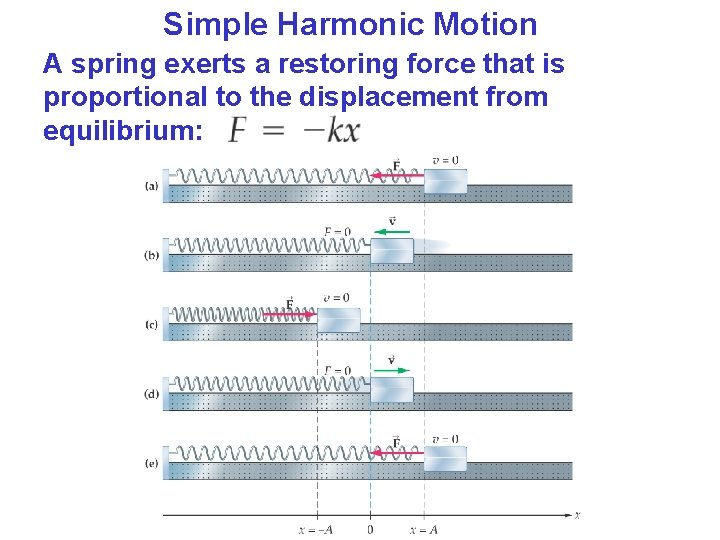 Simple Harmonic Motion A spring exerts a restoring force that is proportional to the Simple Harmonic Motion A spring exerts a restoring force that is proportional to the