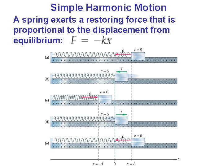 Simple Harmonic Motion A spring exerts a restoring force that is proportional to the