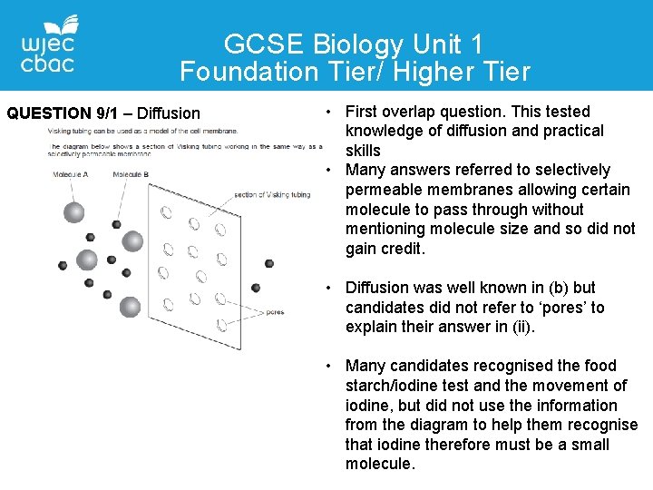 GCSE Biology Unit 1 Foundation Tier/ Higher Tier Contact Details QUESTION 9/1 – Diffusion