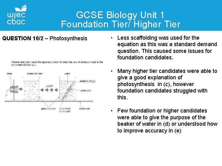 GCSE Biology Unit 1 Foundation Tier/ Higher Tier QUESTION 10/2 – Photosynthesis • Less