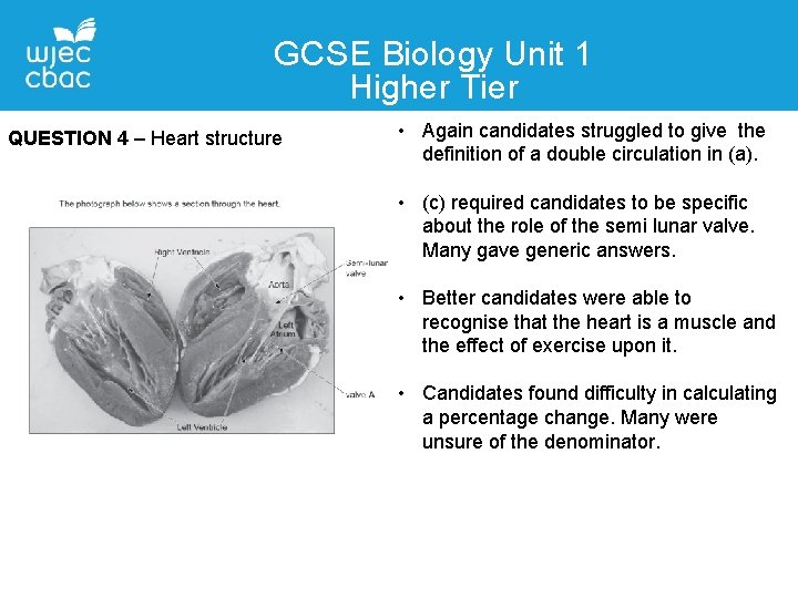 GCSE Biology Unit 1 Higher Tier QUESTION 4 – Heart structure • Again candidates