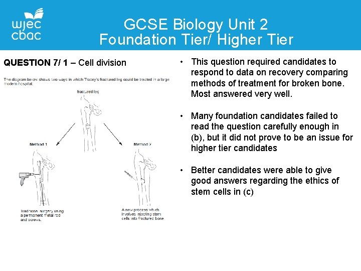 GCSE Biology Unit 2 Foundation Tier/ Higher Tier QUESTION 7/ 1 – Cell division