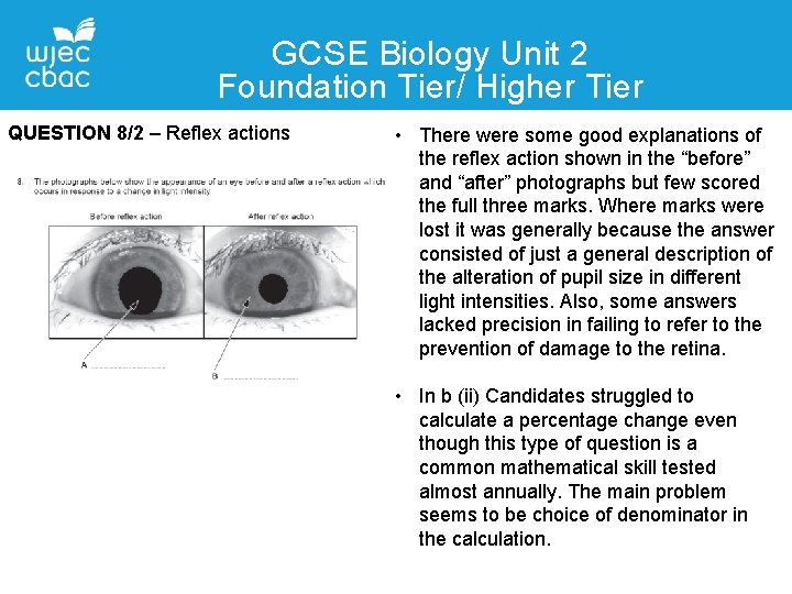 GCSE Biology Unit 2 Foundation Tier/ Higher Tier QUESTION 8/2 – Reflex actions Contact