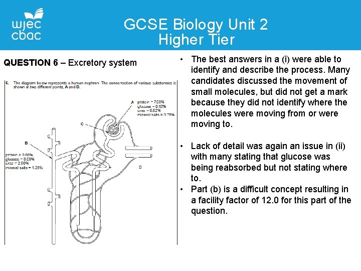 GCSE Biology Unit 2 Higher Tier QUESTION 6 – Excretory system • The best