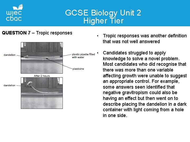 GCSE Biology Unit 2 Higher Tier QUESTION 7 – Tropic responses • Tropic responses