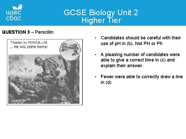 GCSE Biology Unit 2 Higher Tier QUESTION 8 – Penicillin • Candidates should be