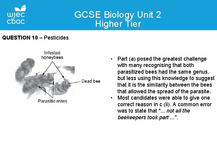 GCSE Biology Unit 2 Higher Tier QUESTION 10 – Pesticides • Part (a) posed