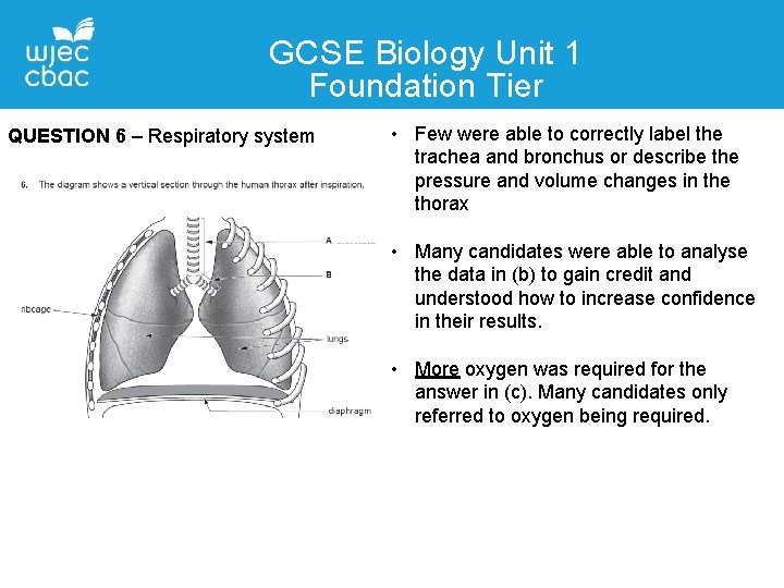 GCSE Biology Unit 1 Foundation Tier QUESTION 6 – Respiratory system • Few were