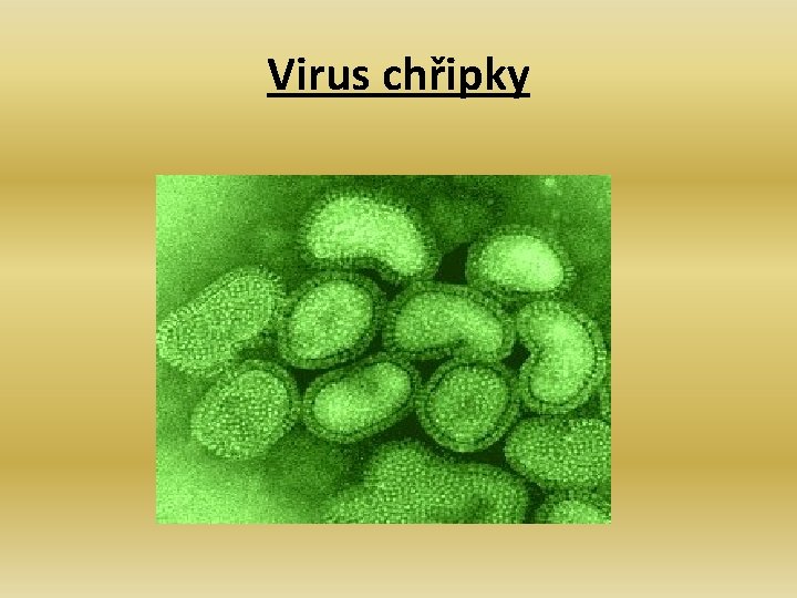 Virus chřipky 