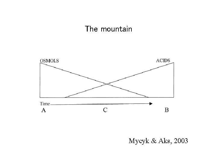 The mountain Mycyk & Aks, 2003 