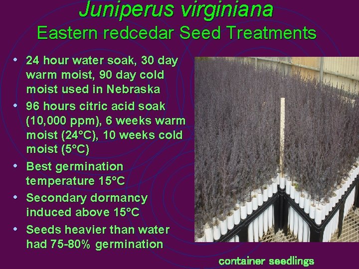 Juniperus virginiana Eastern redcedar Seed Treatments • 24 hour water soak, 30 day •