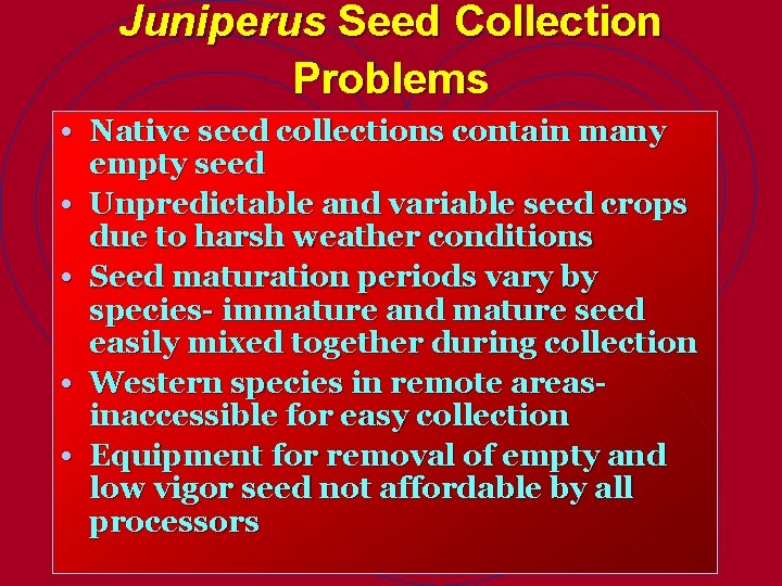 Juniperus Seed Collection Problems • Native seed collections contain many • • empty seed