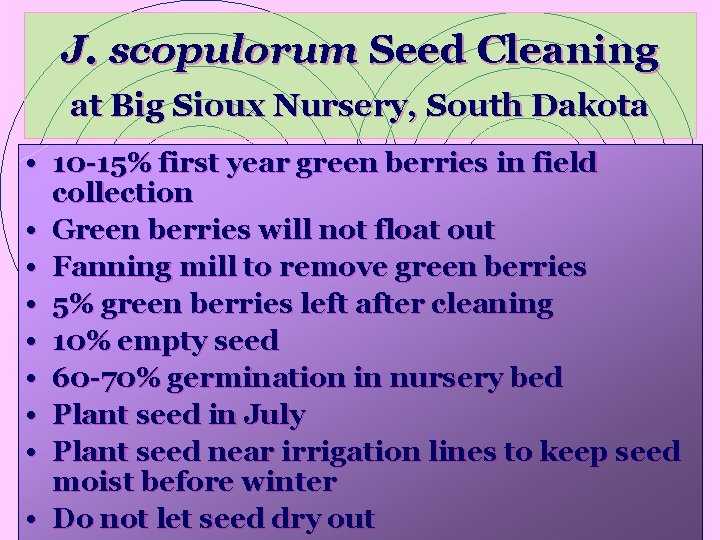 J. scopulorum Seed Cleaning at Big Sioux Nursery, South Dakota • 10 -15% first