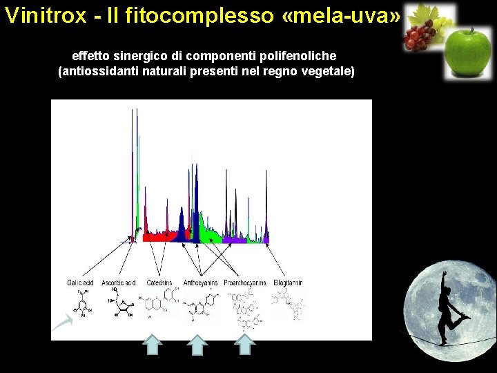 Vinitrox - Il fitocomplesso «mela-uva» effetto sinergico di componenti polifenoliche (antiossidanti naturali presenti nel