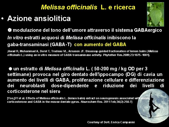 Melissa officinalis L. e ricerca • Azione ansiolitica modulazione del tono dell’umore attraverso il