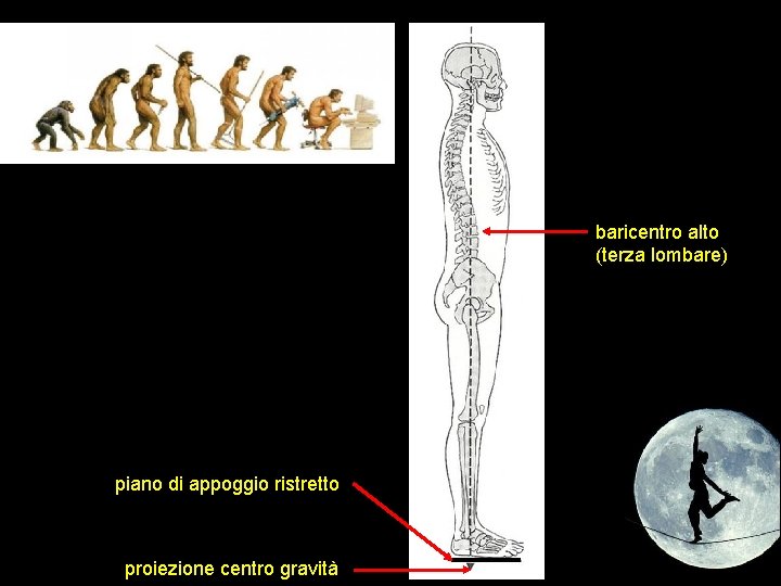 baricentro alto (terza lombare) piano di appoggio ristretto proiezione centro gravità 