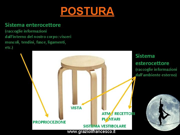 POSTURA Sistema enterocettore (raccoglie informazioni dall’interno del nostro corpo: visceri muscoli, tendini, fasce, ligamenti,