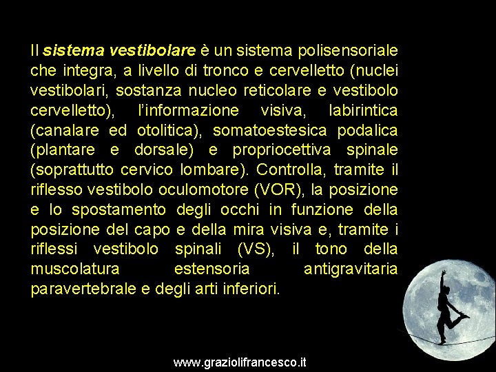 Il sistema vestibolare è un sistema polisensoriale che integra, a livello di tronco e