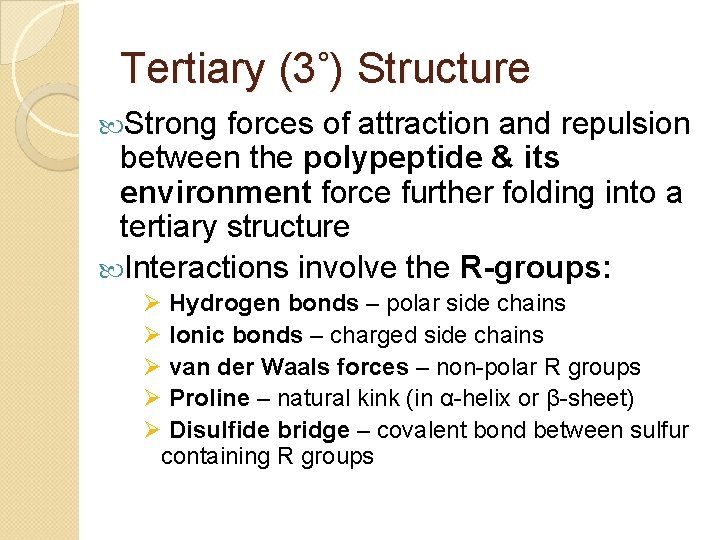 Tertiary (3˚) Structure Strong forces of attraction and repulsion between the polypeptide & its