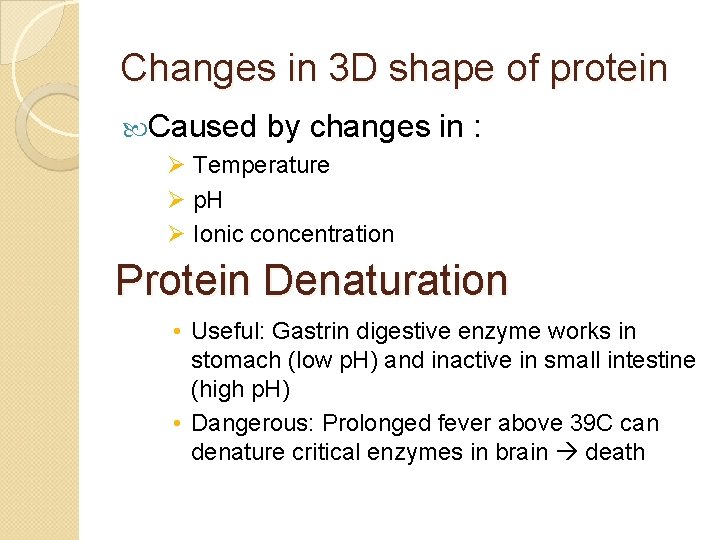 Changes in 3 D shape of protein Caused by changes in : Ø Temperature