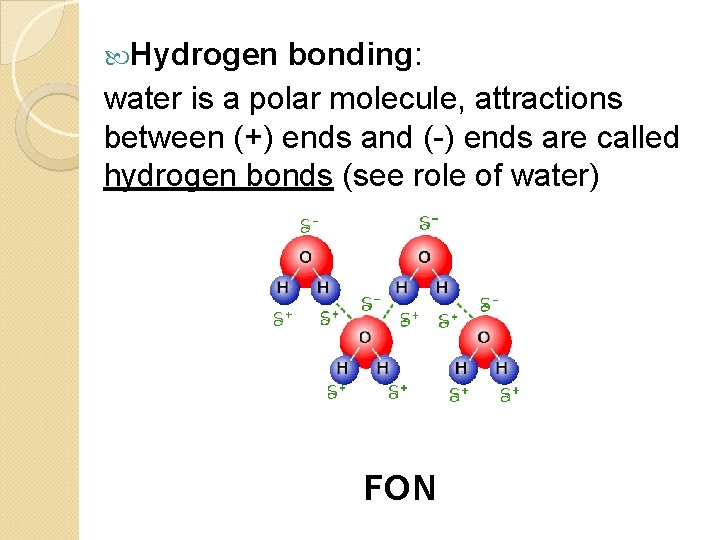  Hydrogen bonding: water is a polar molecule, attractions between (+) ends and (-)