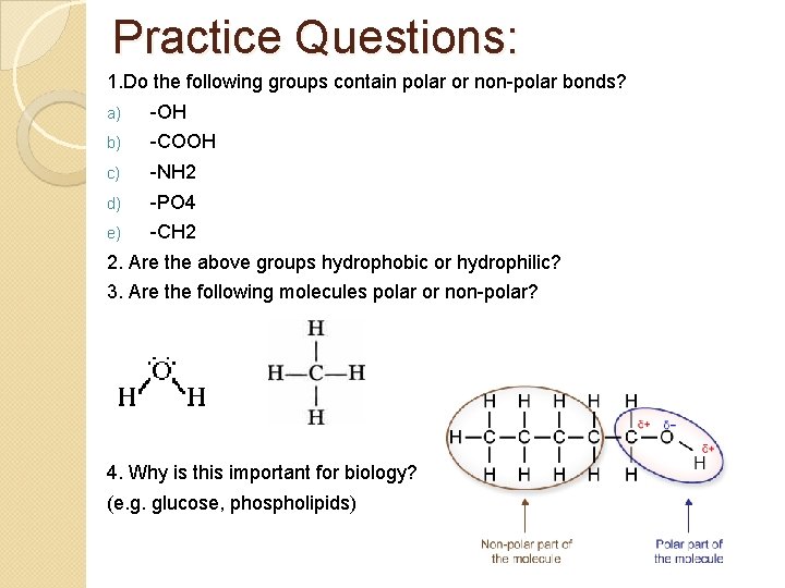 Practice Questions: 1. Do the following groups contain polar or non-polar bonds? a) -OH