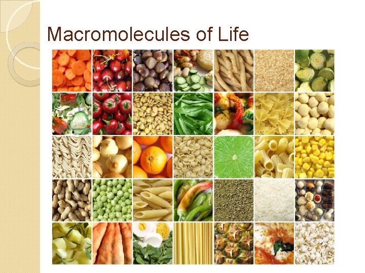 Macromolecules of Life 